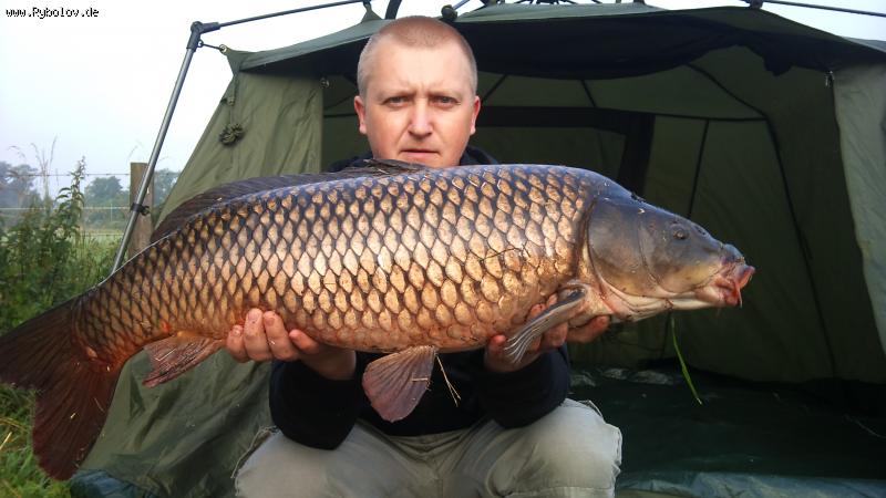 --�������!!! - ������� (����������)