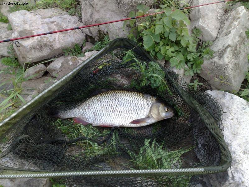 --���������! - ������� (����������)