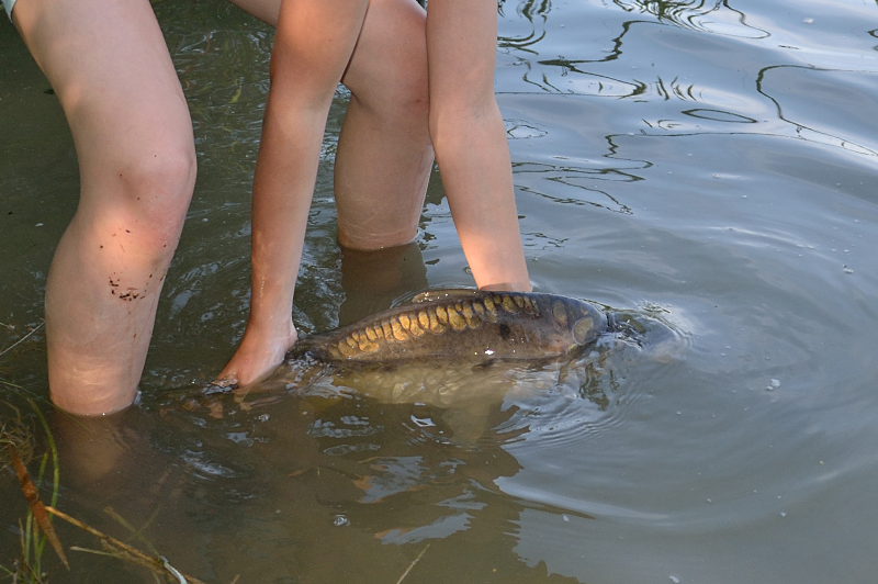 --...� ��������� ;) - ������� (����������)