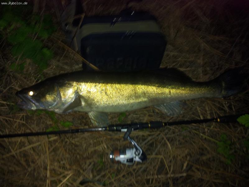 --2013 - ������� (����������)