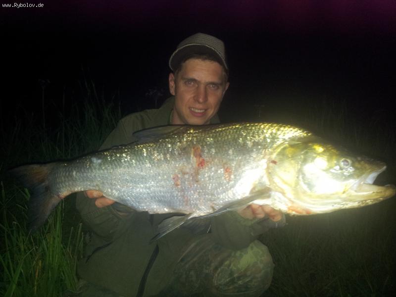 --2013 - ������� (����������)