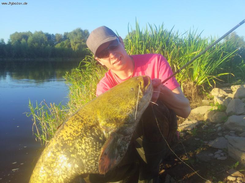 --2013 - ������� (����������)