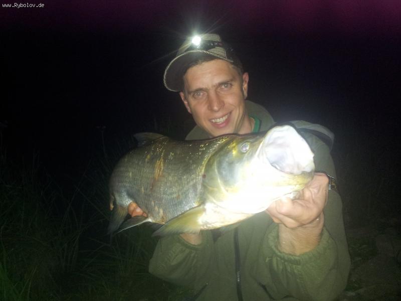 --2013 - ������� (����������)