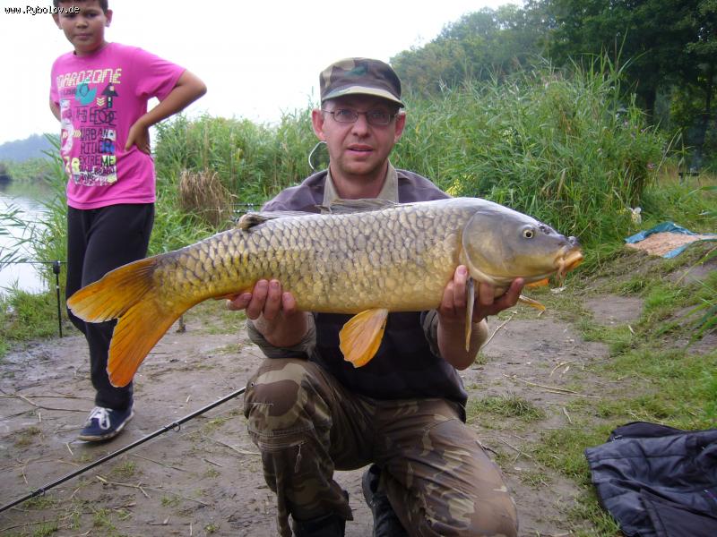 --����� 80 �� - ������� (����������)