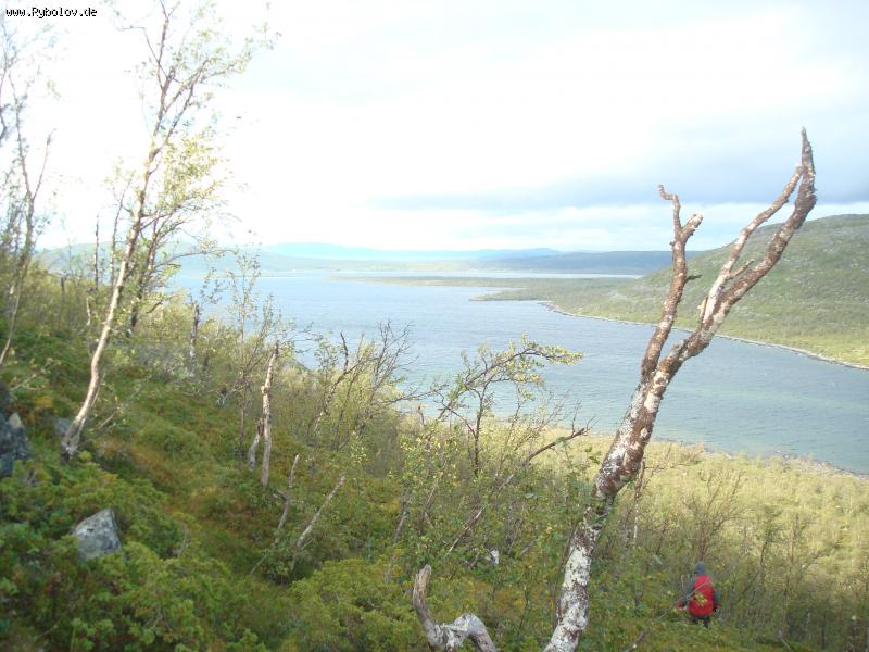 --���������� - ������� (����������)