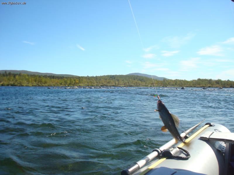 --������ ������� ��� ������� - ������� (����������)