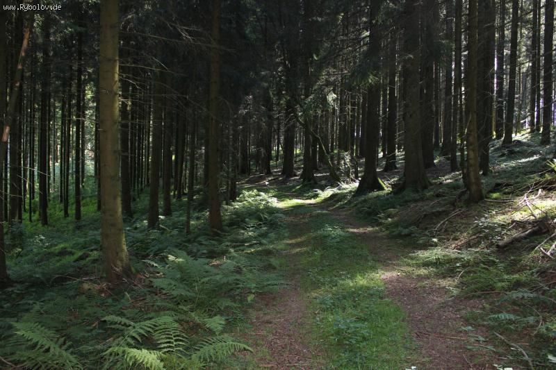 --��������� ������� - ������� (����������)