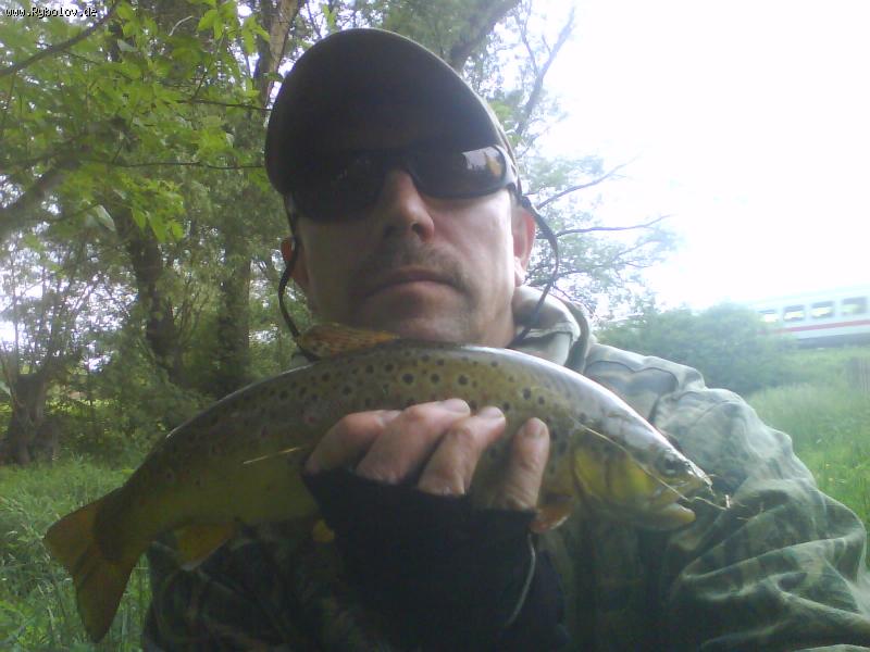 --�������� ������ (Bachforelle) 38 �� - ������� (����������)