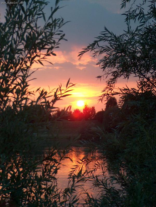 --��� ����� �������� �����. - ������� (����������)