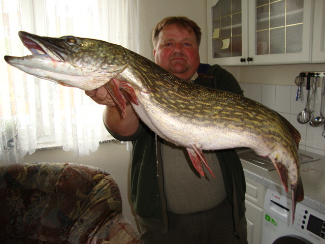 --������� ������, ��� �� � ����. - ������� (����������)