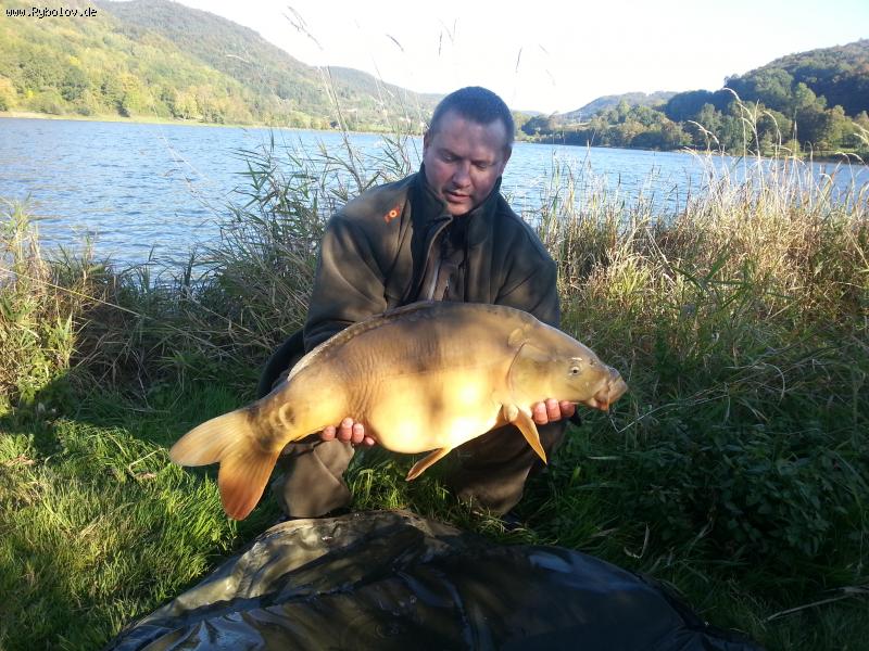 --... - ������� (����������)