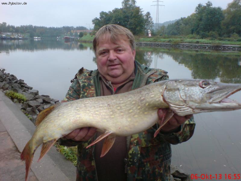 --����- �������� ����. - ������� (����������)