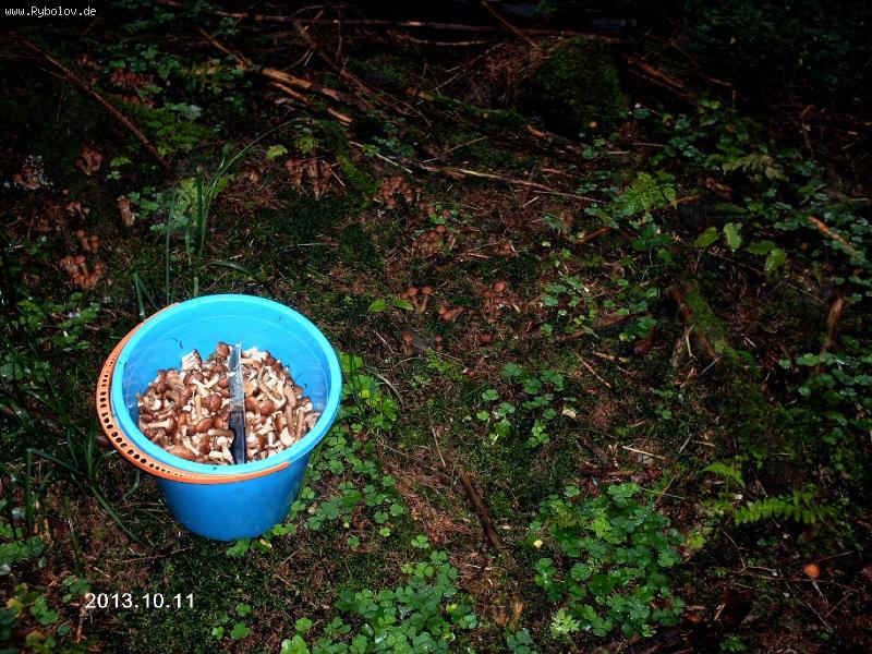 --12.10.2013 ������ � ���� ���� - ������� (����������)