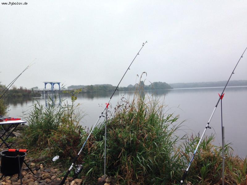 --De Grote Hegge , NL - ������� (����������)