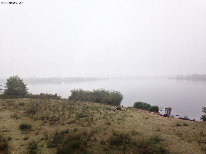 --De Grote Hegge ,NL - ������� (����������)