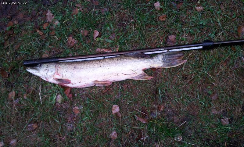 --������ �� ������ ������ .72�� 2700�� - ������� (����������)