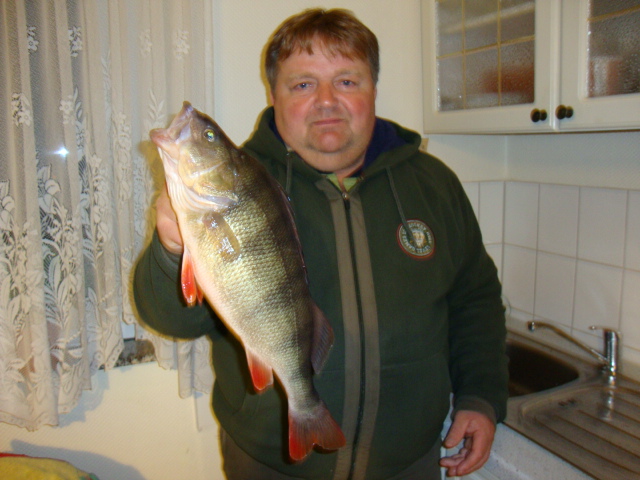 --������ 42 �� - ������� (����������)