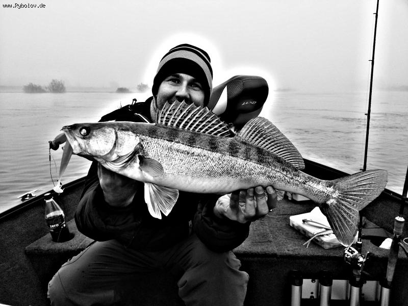 --Vertikal Zander - ������� (����������)