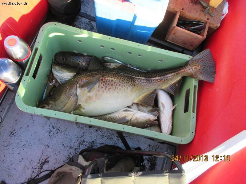 --�� - ���� ���������� - ��������� ����������� ! - ������� (����������)