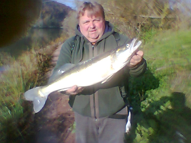 --�������. - ������� (����������)