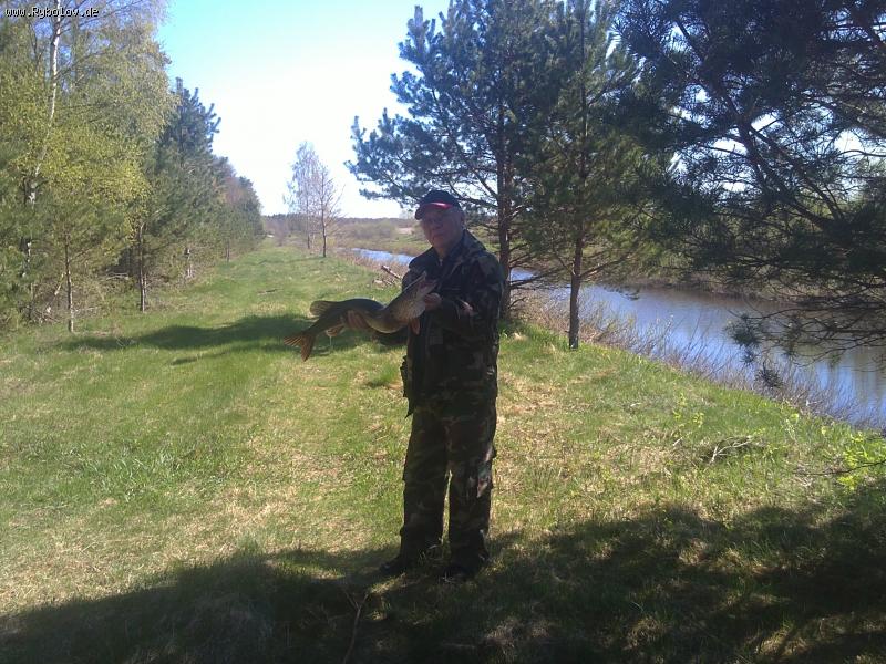 --����� - ������� (����������)