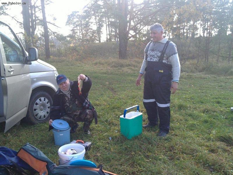 --���� ����� - ������� (����������)