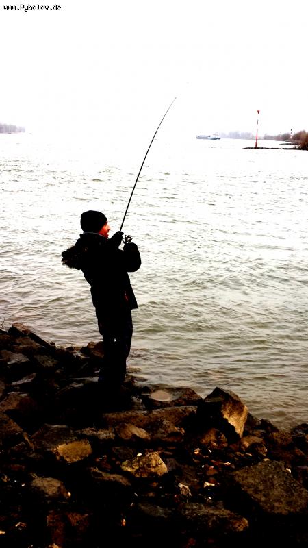 --Zander drill -  ()