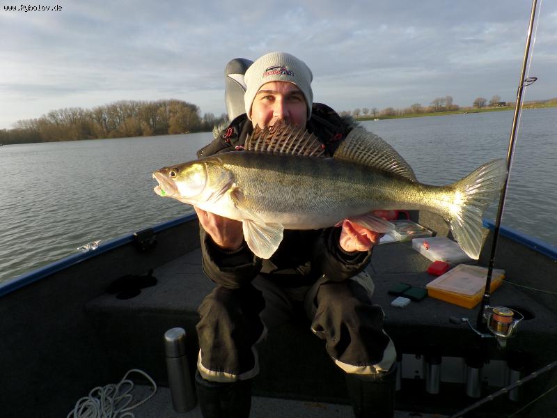 --vertikal 354 - ������� (����������)