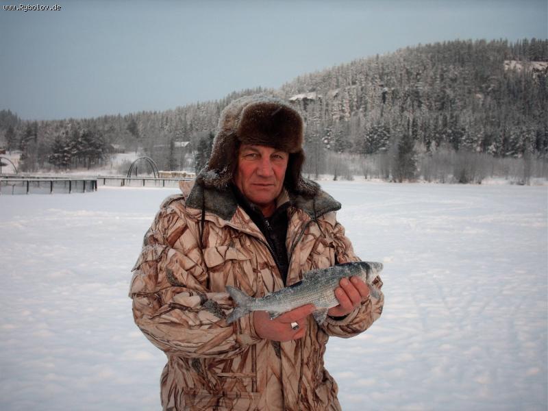 --� ��� ���� ���� �����.... - ������� (����������)