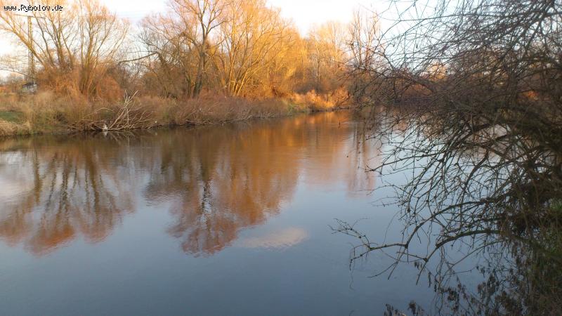 --���� Saale ��������� ��������� 2014 - ������� (����������)