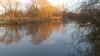  Saale   2014 -  ()
