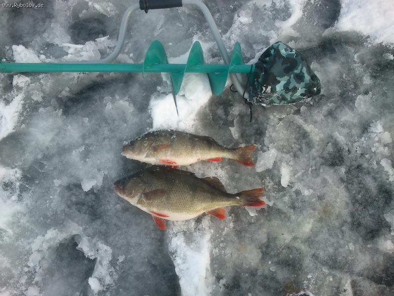 --�����. - ������� (����������)