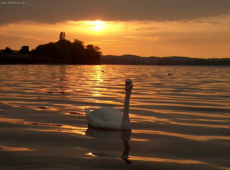 --� "���������" �����. Chiemsee. - ������� (����������)