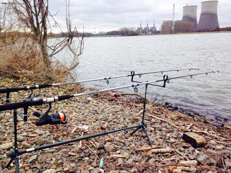 --Linne 22.2.14 - ������� (����������)