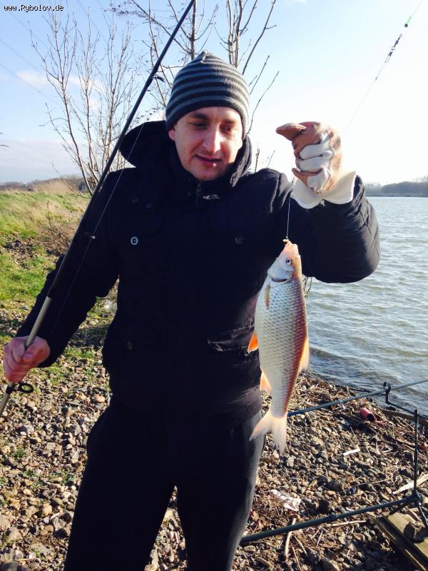 --Linne 22.2.14 -  ()