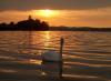В "бронзовых" тонах. Chiemsee. - рыбалка (фотоальбом)