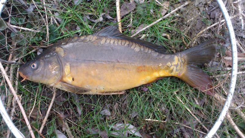 --���������� ������ - ������� (����������)