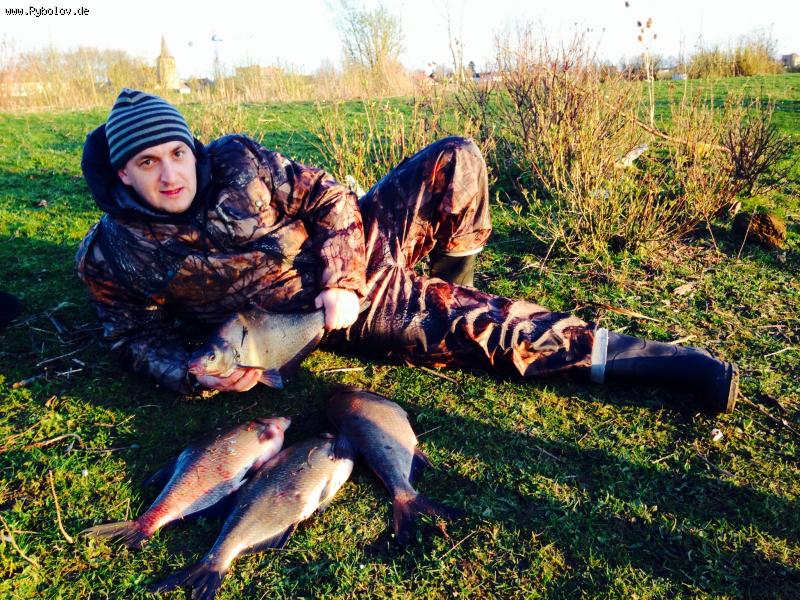 --Niderlandi 22.2.2014 -  ()
