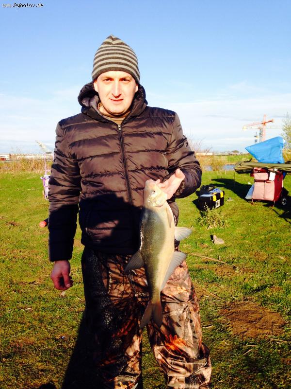 --Wessen NL 22.2.2014 -  ()