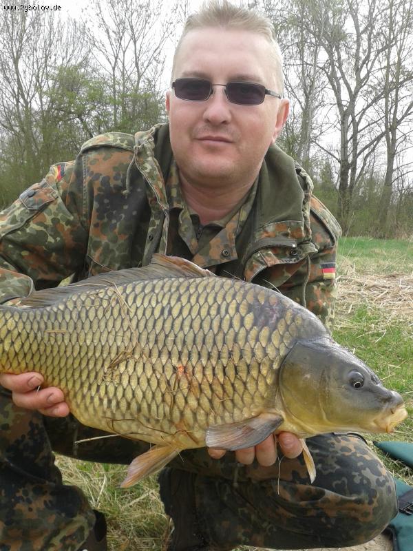 --������� ���� - ������� (����������)