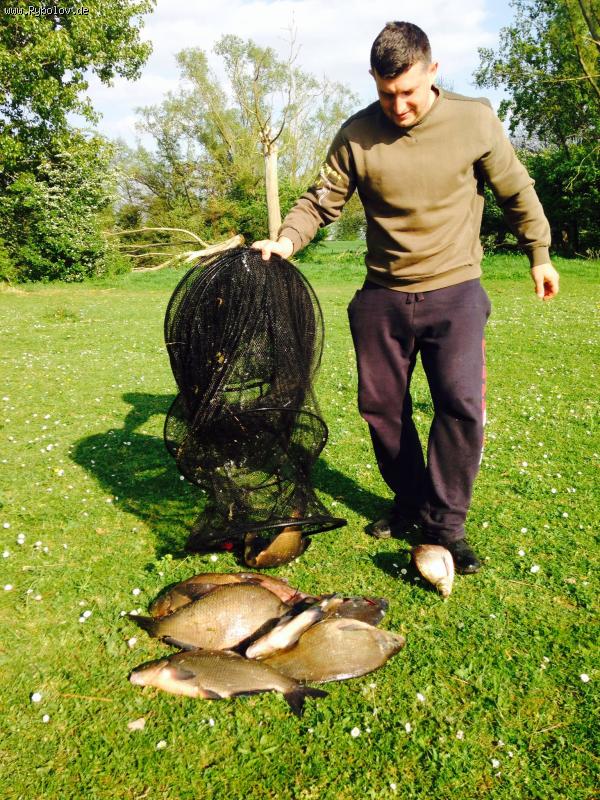 --Niderlandi 13.4.2014 -  ()