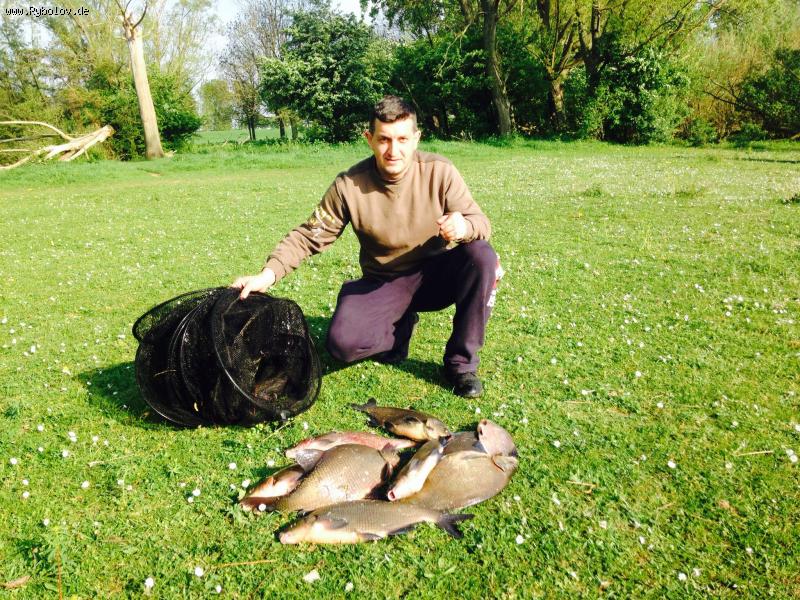 --Niderlandi 13.4.2014 -  ()