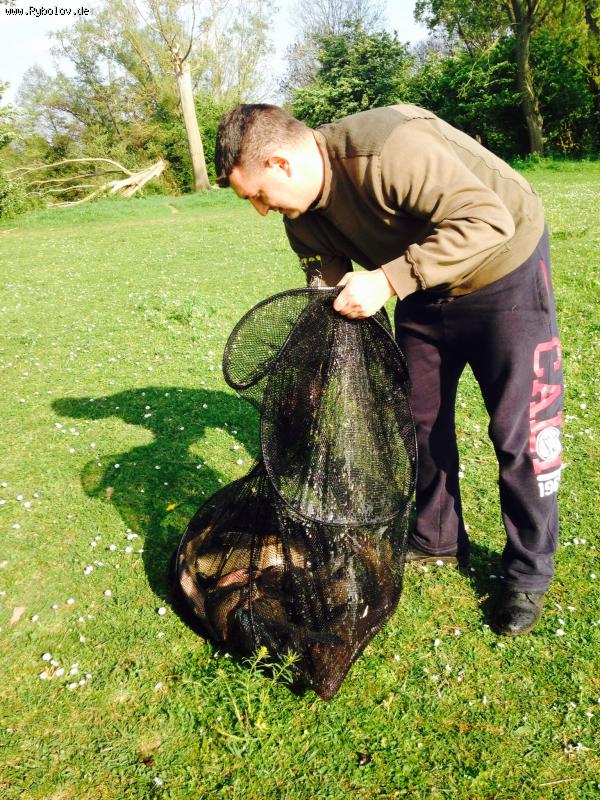 --Niderlandi 13.4.2014 - ������� (����������)