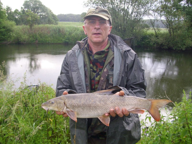 --Barbe 3kg - ������� (����������)