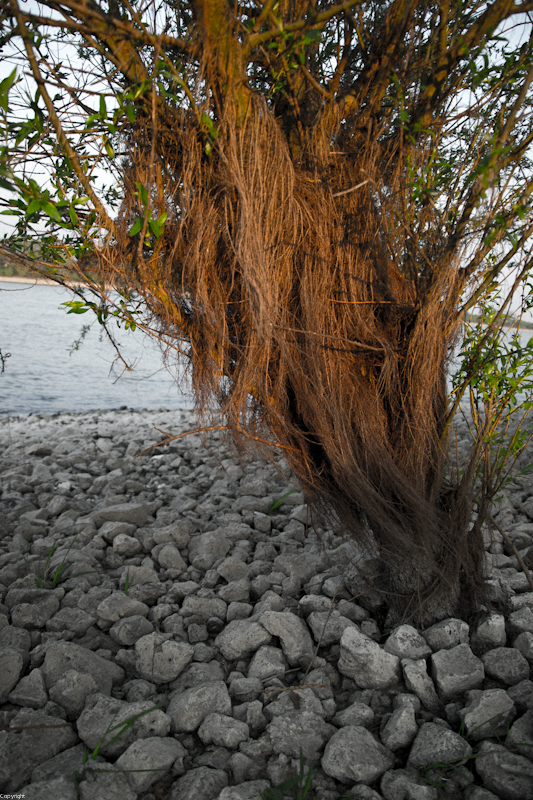 --���������� �������� - ������� (����������)