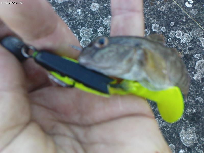 --����� �� ���� - ������� (����������)