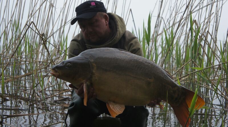 --����. - ������� (����������)