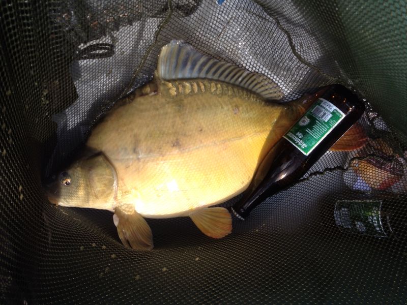 --karp 3,8kg. -  ()