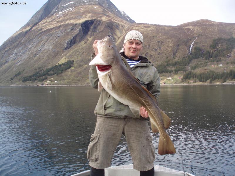 --Aldersund, Norwegen - рыбалка (фотоальбом)