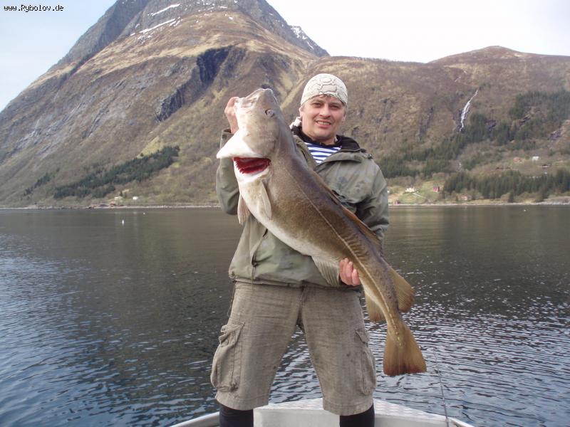 --Aldersund, Norwegen - ������� (����������)